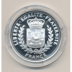 Médaille - Défilé de la victoire - 14 juillet 1919- 100e anniversaire de la grande guerre - argent  2