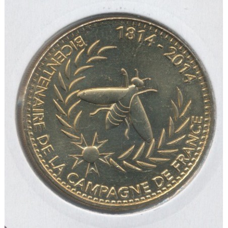 Dept51 - Bicentenaire de la campagne de france - 2014 - chalons en champagne