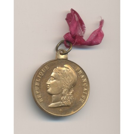 Médaille - Distribution des drapeaux à l'armée - 14 juillet 1880