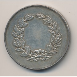 Médaille - Aviron - bronze argenté 2