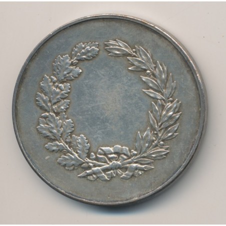 Médaille - Aviron - bronze argenté