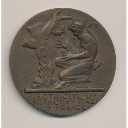 Médaille - Électricité et gaz de France - bronze - Dropsy