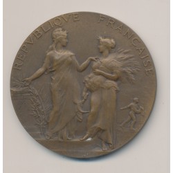 Médaille - Associations agricoles - République Française - A.Dubois - bronze
