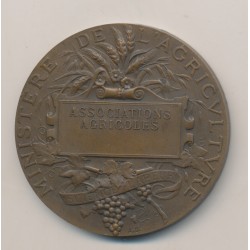 Médaille - Associations agricoles - République Française - A.Dubois - bronze 2