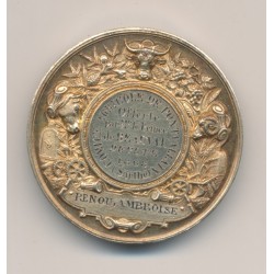 Médaille - Napoléon III - Comice agricole de Pontvallain - Député 1868 - vermeil 2