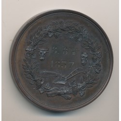 Médaille - Comice agricole de pithiviers - Prix de moralité 1837 - bronze 2