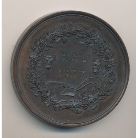 Médaille - Comice agricole de pithiviers - Prix de moralité 1837 - bronze