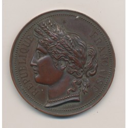 Médaille - Comice agricole de Frontenay - 1892 - bronze - A.Desaide