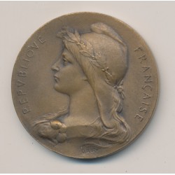 Médaille - Association agricole de vierzon - bronze - O.Roty - 41mm
