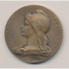 Médaille - Association agricole de vierzon - bronze - O.Roty - 41mm