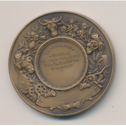 Médaille - Association agricole de vierzon - bronze - O.Roty - 41mm 2