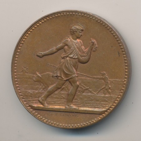 Médaille - Comice agricole de Lamotte Beuvron - 1888 - Loir et cher - J.Lagrange - bronze
