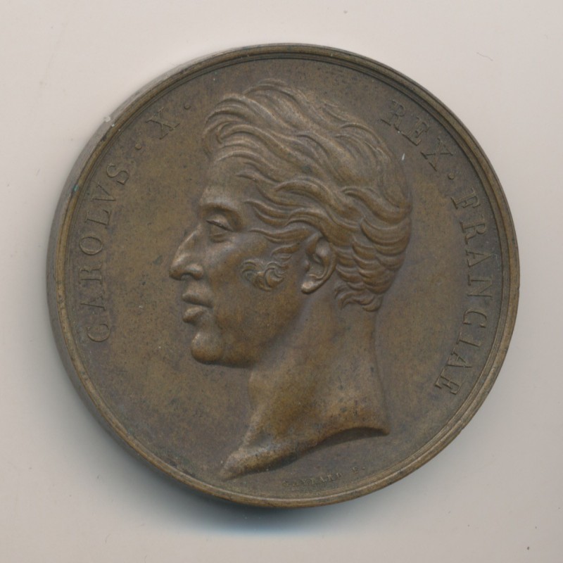 Médaille - Sacre à Reims - Charles X - 1825 - bronze