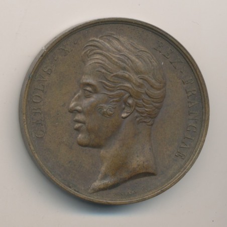 Médaille - Sacre à Reims - Charles X - 1825 - bronze