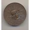 Médaille - Société libre des beaux arts - Paris 1830 - cuivre