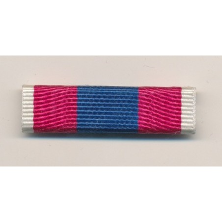 Barette Dixmude - Défense nationale Argent