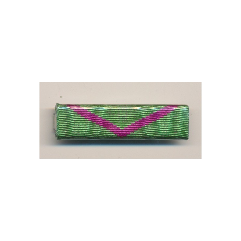 Barette Dixmude - Médaille pénitentiaire - Neuf