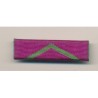 Barette Dixmude - Médaille Éducation surveillée - Neuf