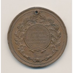 Médaille - 8e Fête régionale de gymnastique - 1893 - Les deux charentes - bronze 2