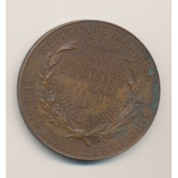 Médaille - Concours de dictée - 2e prix - 1882 Paris - bronze - D.Dupuis 2