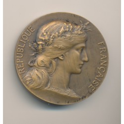 Médaille - Ville de Bordeaux - République Française - bronze - H.Dubois 