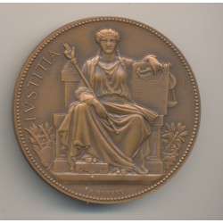 Médaille - Tribunal de commerce - La Rochelle - bronze - A.Borrel