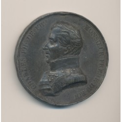 Médaille - Charles philippe de France - étain