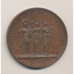 Médaille - Comte de Lautrec - 1738 - bronze 2
