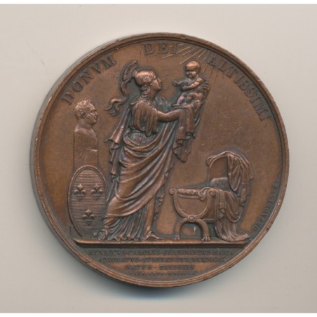 Médaille - Louis XVIII - Naissance de Henri duc de Bordeaux - 1820 - cuivre