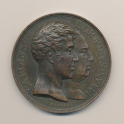 Médaille - Statue équestre Louis XIII - Buste Louis XVIII et Charles X - 1829 - cuivre - E.Gatteaux - 50mm
