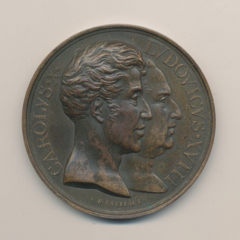 Médaille - Statue équestre Louis XIII - Buste Louis XVIII et Charles X - 1829 - cuivre - E.Gatteaux - 50mm