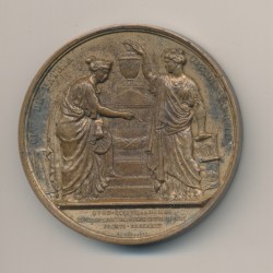 Médaille - Nicolas François bellart - 1826 - Procureur cour royale - cuivre - 51mm - Barre 1829 2