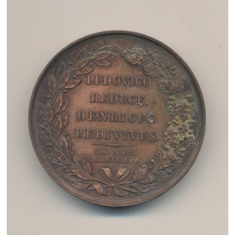 Médaille - Henri IV - 1814 - bronze - 41mm - De Puymaurin