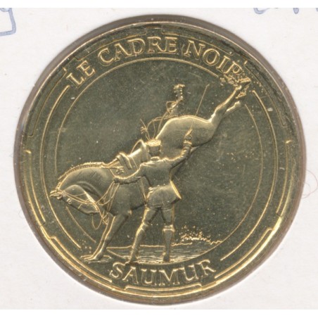 Dept49 - Le cadre noir N°4 - la croupade - 2014 - Saumur 