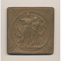 Médaille - Exposition Universelle Saint Louis - 1904 - silver medal - Bronze - TTB
