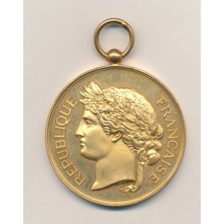 Médaille - Société Nationale du tir des communes de France - médaille d'honneur - bronze doré - 51mm - SUP+
