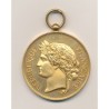 Médaille - Société Nationale du tir des communes de France - médaille d'honneur - bronze doré - 51mm - SUP+