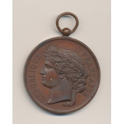 Médaille - Société Nationale du tir des communes de France - médaille d'honneur - bronze - 51mm - TTB+