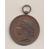 Médaille - Société Nationale du tir des communes de France - médaille d'honneur - bronze - 51mm - TTB+