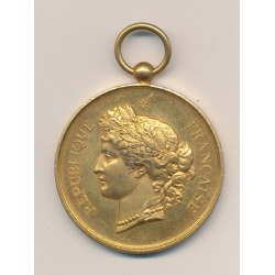 Médaille - Société de Tir - Championnat de 1887 - bronze doré - 46mm - SUP+