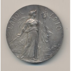 Médaille - Labor 1910 - 1870-71 - Progrès gloire - bronze argenté - Georges Lemaire - 50mm - TTB+