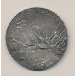 Médaille - Labor 1910 - 1870-71 - Progrès gloire - bronze argenté - Georges Lemaire - 50mm - TTB+ 2