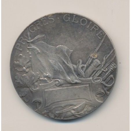 Médaille - Labor 1910 - 1870-71 - Progrès gloire - bronze argenté - Georges Lemaire - 50mm - TTB+