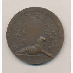 Médaille - Entrainement physique - Préparation militaire - bronze - 50mm - TTB 2