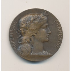 Médaille - Aux grands morts aux grands soldats des Vosges - 1920 - bronze - 32mm - TTB+