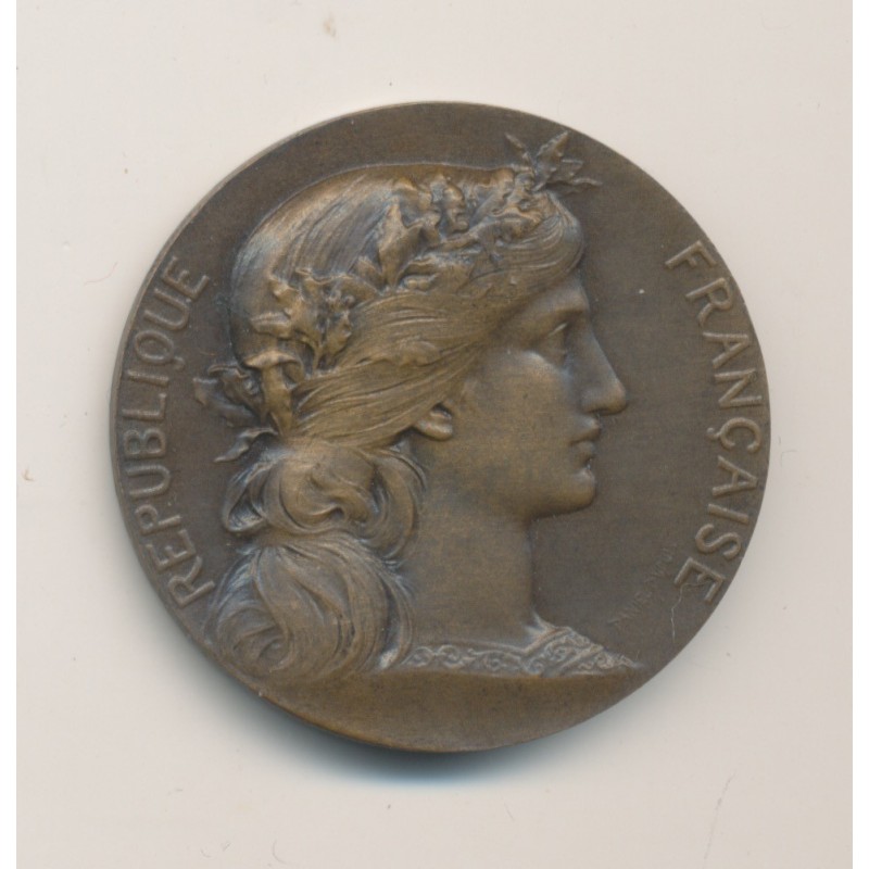 Médaille - Aux grands morts aux grands soldats des Vosges - 1920 - bronze - 32mm - TTB+