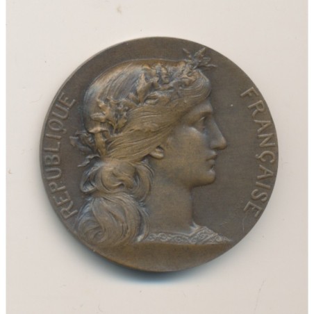 Médaille - Aux grands morts aux grands soldats des Vosges - 1920 - bronze - 32mm - TTB+