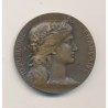 Médaille - Aux grands morts aux grands soldats des Vosges - 1920 - bronze - 32mm - TTB+