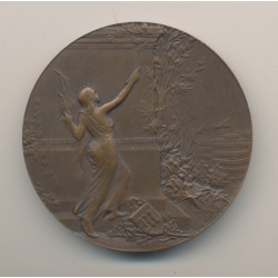 Médaille - Journal Le Matin - par Riberon - bronze - 51mm - TTB+
