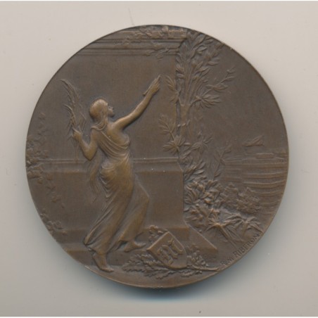 Médaille - Journal Le Matin - par Riberon - bronze - 51mm - TTB+